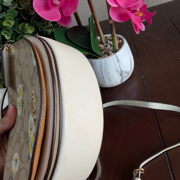 Coach Ellen Crossbody In Signature Canvas With Daisy Print - Picture 9 of 16